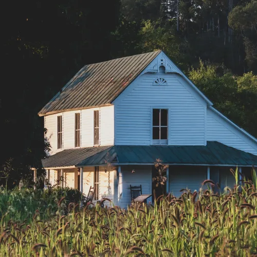 a house in the woods
