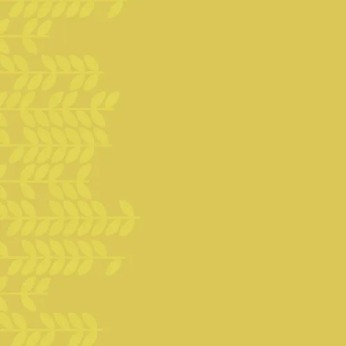 background pattern