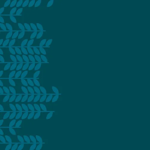 Blue and teal abstract leaf pattern on the left side over solid teal background on the right half