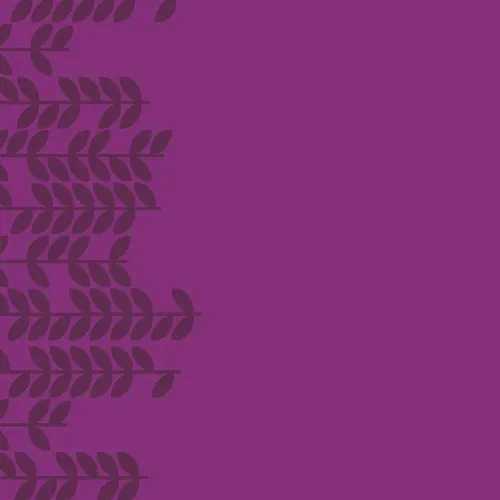shape, background pattern