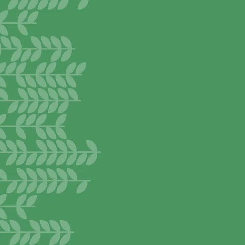 Green background with a pattern of light green leafy branches on the left side, empty space on the right.