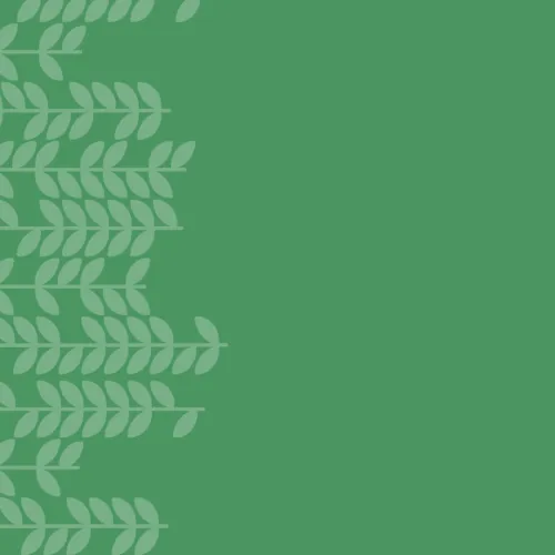 Green background with a left-aligned pattern of stylized leaves in a lighter green shade