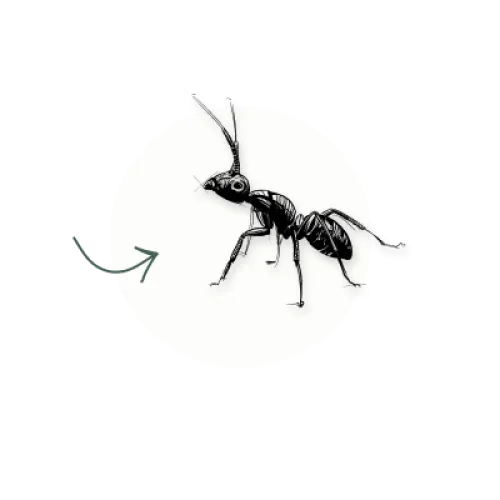 ant icon