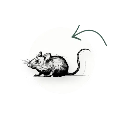 Black and white sketch of a mouse facing left inside a white circular background with an arrow above its tail.