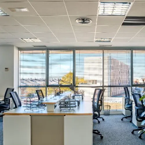 Bright modern office space with multiple desks, ergonomic chairs, large windows with blinds, and indoor plants.