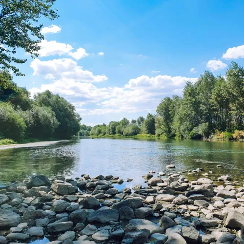 A serene river landscape with rocky shores and lush green trees under a blue sky.