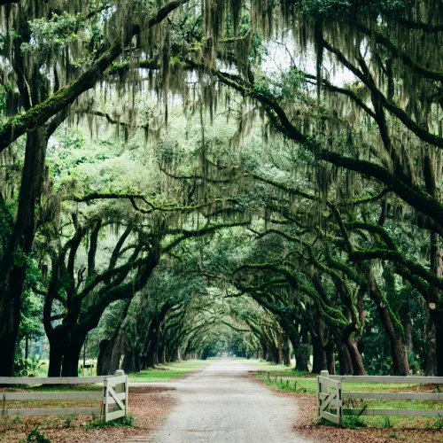 savannah ga business security systems