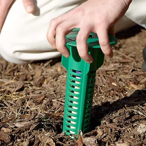Person installing a green lawn aerator spike into soil near grass edge with protective mulch.