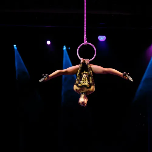 Female aerial gymnast performing a split pose suspended upside down from a purple hoop on stage with spotlights.
