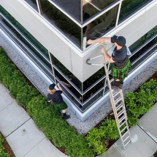 a person on a ladder next to a building