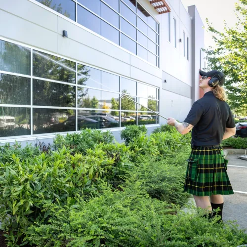 a person standing next to a bush