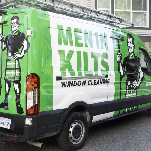 a green and white bus