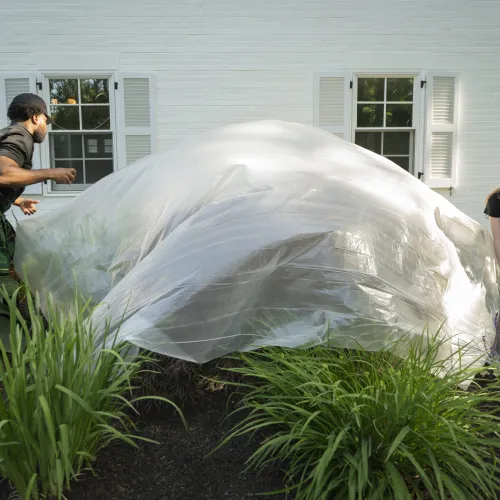 a man and woman covering plants with a large piece of plastic