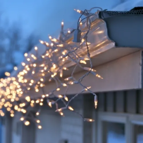 a light bulb from a tree