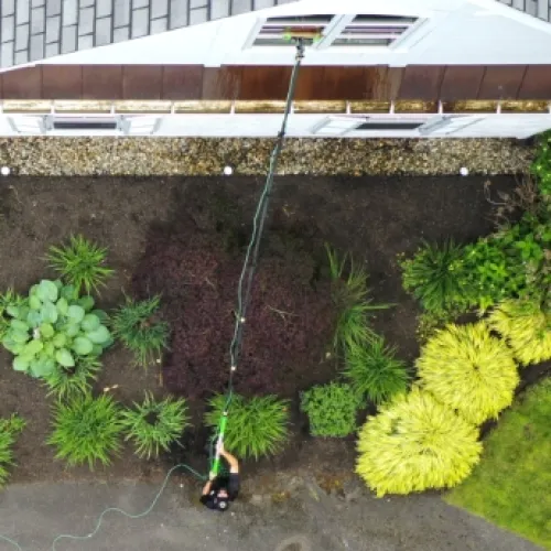 a person standing in a garden