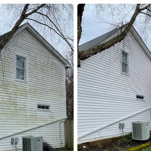 a white house with a tree in the front