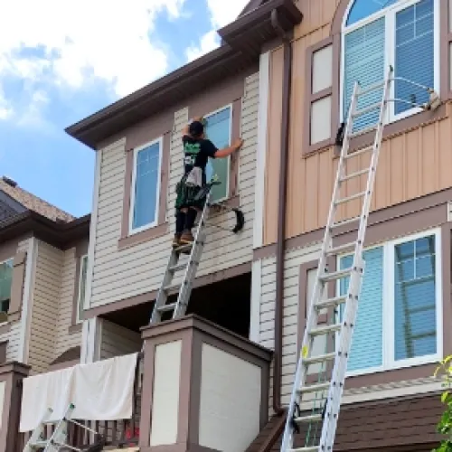 a person on a ladder on a house