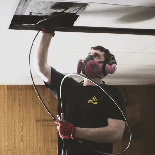 Technician wearing a respirator mask and gloves inspects ceiling with hose for mold remediation in room.