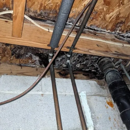 Water damage and mold on wooden beams and pipes in a basement ceiling with concrete block wall beneath.
