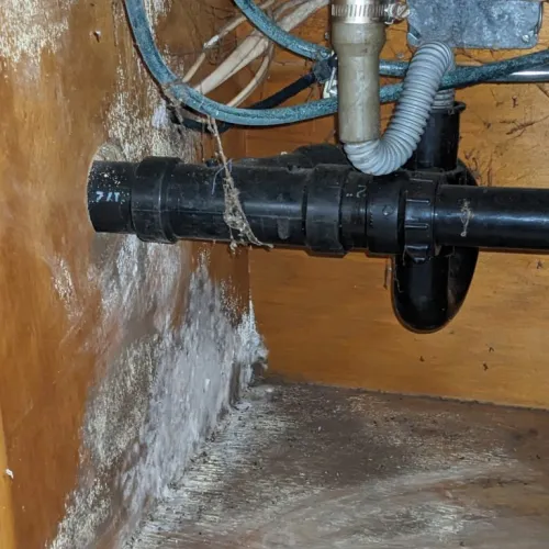Water leak under sink causing mold and damage to wooden cabinet with visible pipes and wiring.