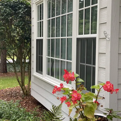 Red flowering plant in decorative pot near white-framed windows on a house with greenery surrounding.