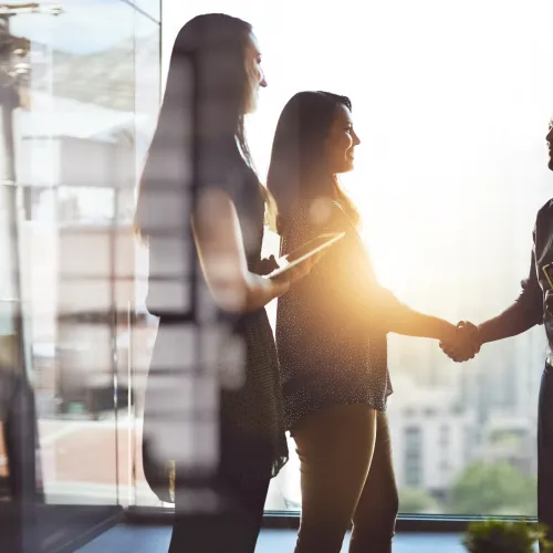 Business people shaking hands in an office with a city view, sunlight streaming through large windows.