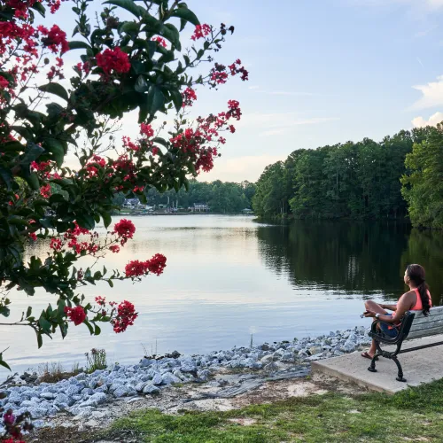 Woman sitting on a bench by a lake surrounded by trees and red blooming flowers during sunset.