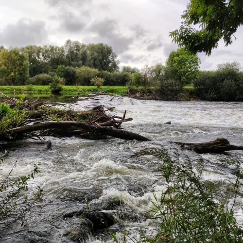 a river with rocks and trees