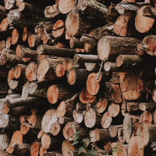 stacks of wood