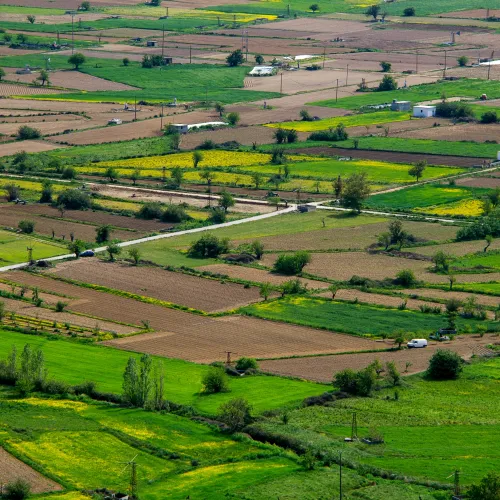 a landscape with trees and houses