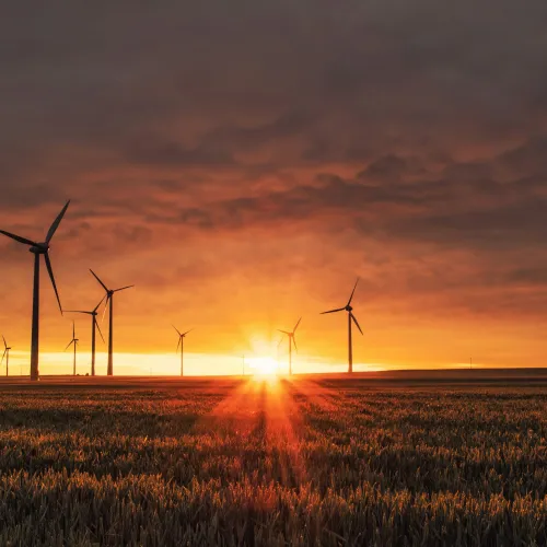 a group of windmills in a field at sunset