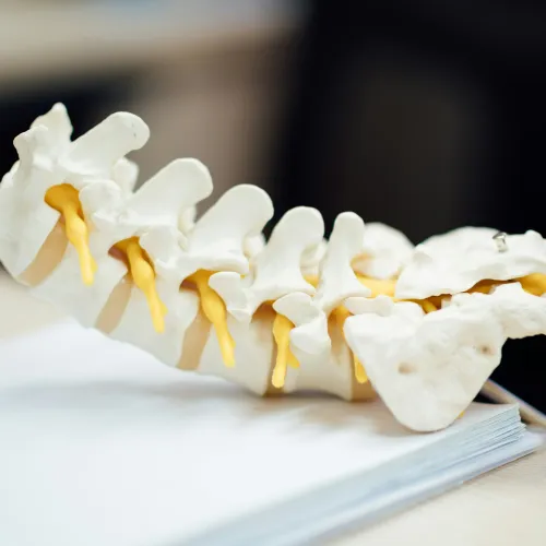 Anatomical model of a human lumbar spine with yellow nerves displayed on top of papers, in a clinical setting.