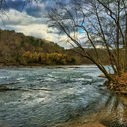 a river with trees on the side