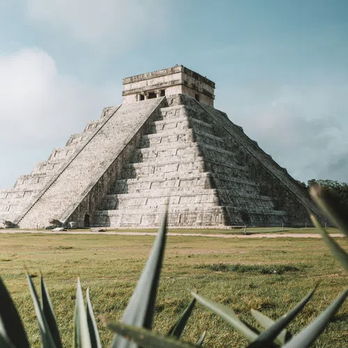 Chichen Itza pyramid under blue sky with green agave plants in foreground and grassy field