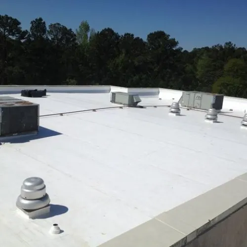 The roof of a building