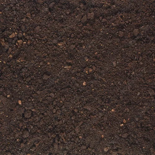 a close up of a rock
