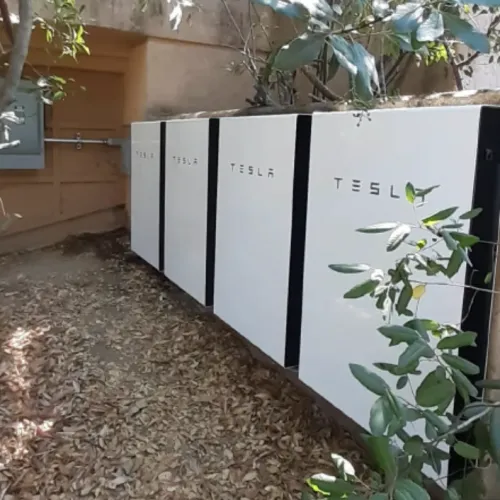 a white box with a plant in it