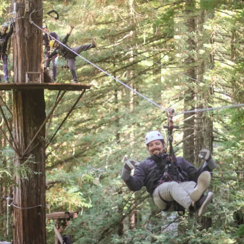 a group of people climbing a tree