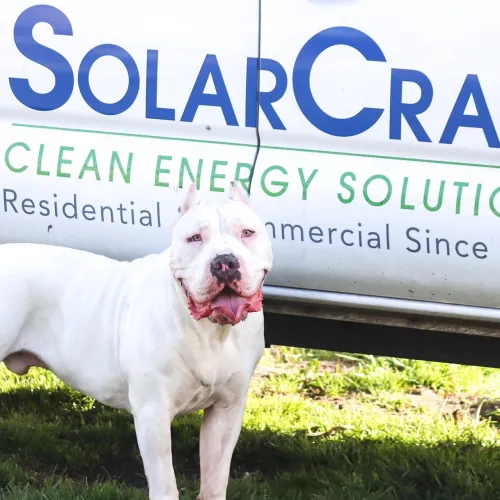 a white dog standing in front of a sign