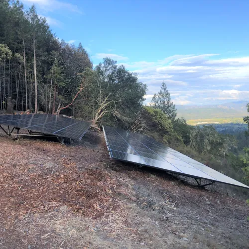 a large tarp on a dirt road surrounded by trees