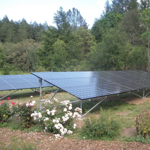a greenhouse with flowers and trees in the background