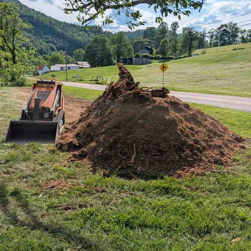 Excavator parked next to a large pile of tree roots and mulch on green grass in a rural landscape under a blue sky.