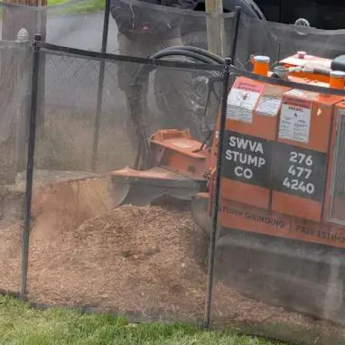 Orange stump grinder machine operated behind safety mesh at a grassy residential yard during tree stump removal.