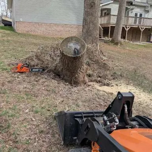 Tree stump removal in a residential yard with a chainsaw and orange stump grinder in view near houses.
