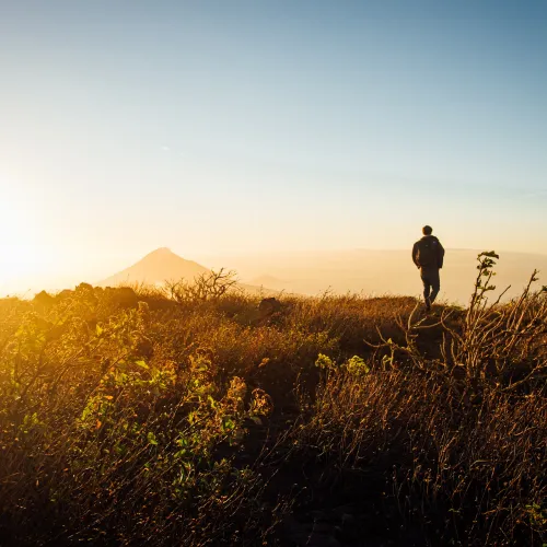 person on hill during sunrise