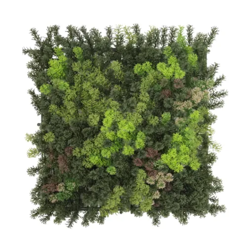 Top view of a dense square patch of green conifer and mixed foliage plants isolated on white background