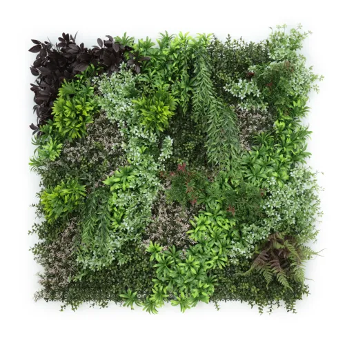 Top view of a dense green vertical garden wall with various leafy plants and textures.