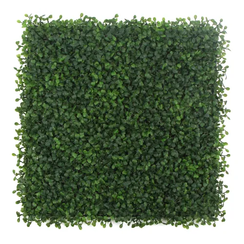 Square panel of dense artificial green boxwood hedge leaves for decoration or privacy screens