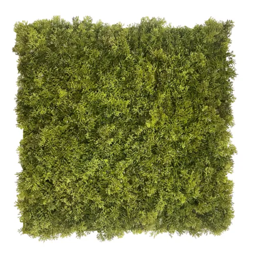 Square dense green artificial hedge panel with small needle-like leaves on white background.
