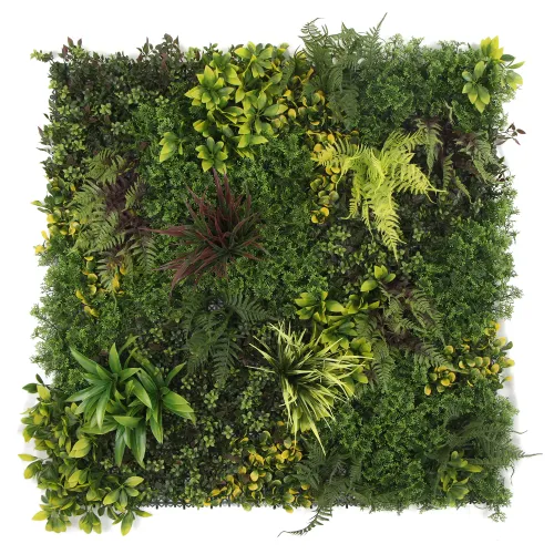 Top view of a dense green wall with various tropical plants and ferns creating a lush square arrangement.